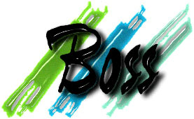 Better Opportunities for Single Soldiers (BOSS) logo