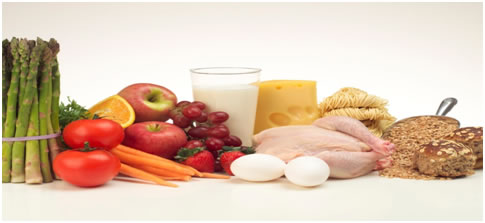 A collection of food from the 5 basic food groups: Tomatos, Carrots, Apple, Orange, Milk, Cheese, Chicken, Eggs, Pasta, Grains, & Bread.